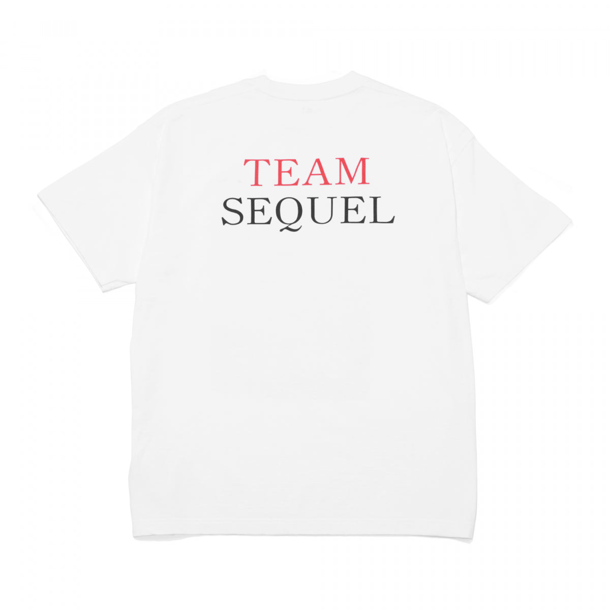 SEQUEL]T-SHIRT/WHITE(SQ-23SS-ST-03) – R&Co.