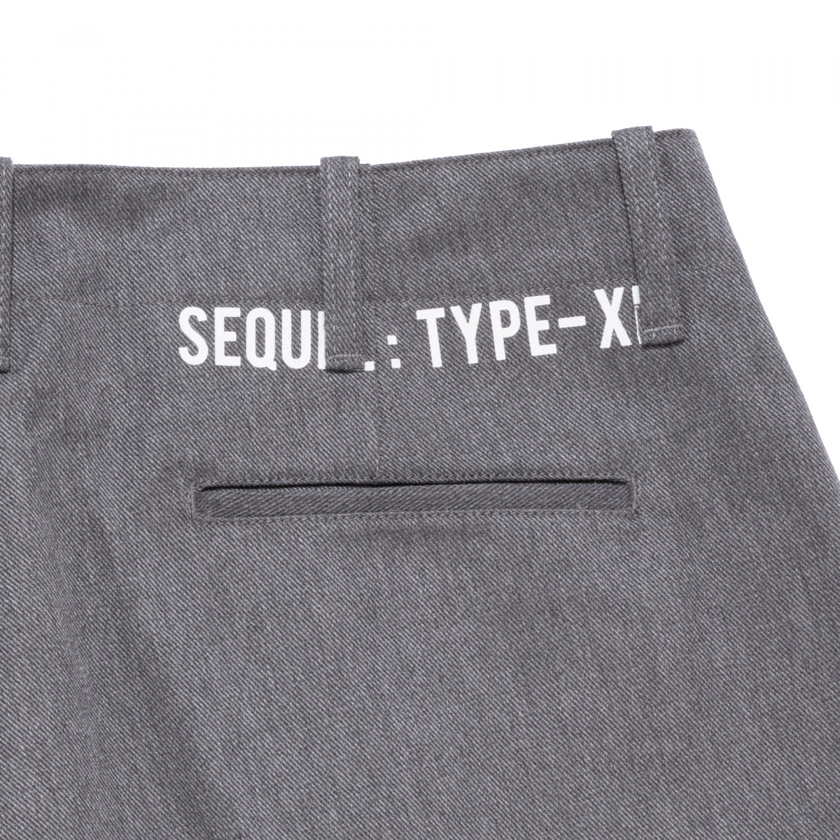 SEQUEL]CHINO PANTS(TYPE-XF)/GRAY(SQ-24SS-PT-03) – R&Co.