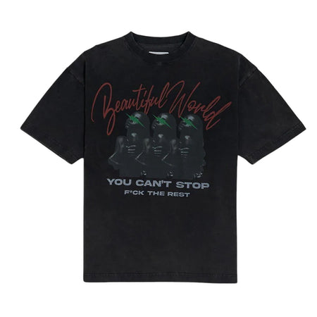 [TAIN DOUBLE PUSH]BEAUTIFUL WORLD SHORT SLEEVE T-SHIRTS/BLACK(T511-ST103)