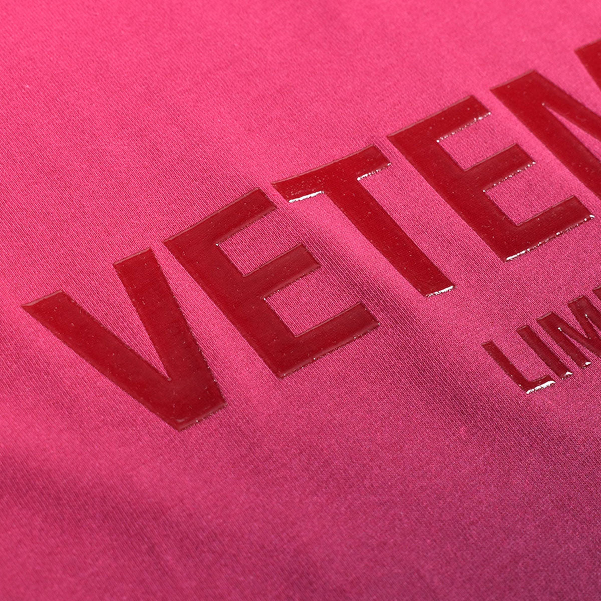 VETEMENTS]GRADIENT LOGO LIMITED EDITION T-SHIRT/PINK(UE54TR160 ...