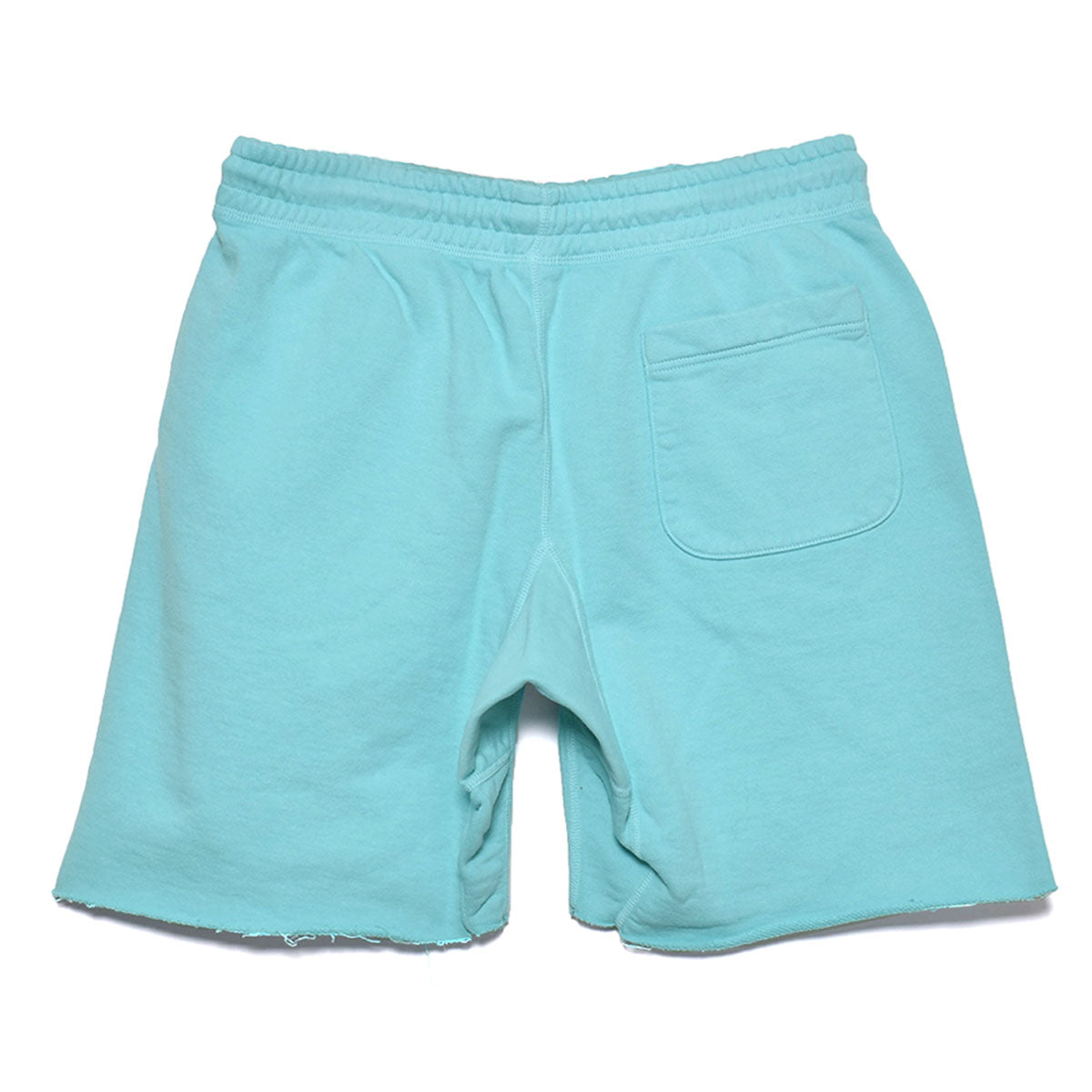 SAINT Mxxxxxx]SHORTS/SAINT/BLUE(SM-S23-0000-057) – R&Co.